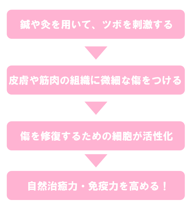 鍼灸の仕組み
